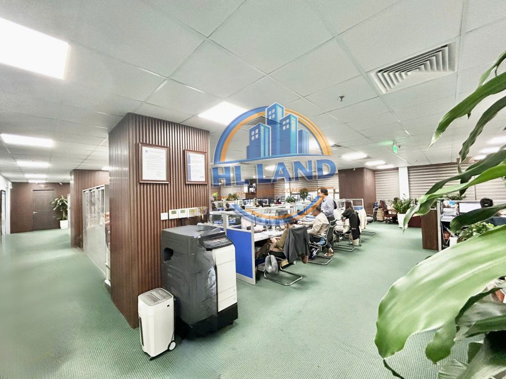 tìm thuê văn phòng tại dreamland bonanza