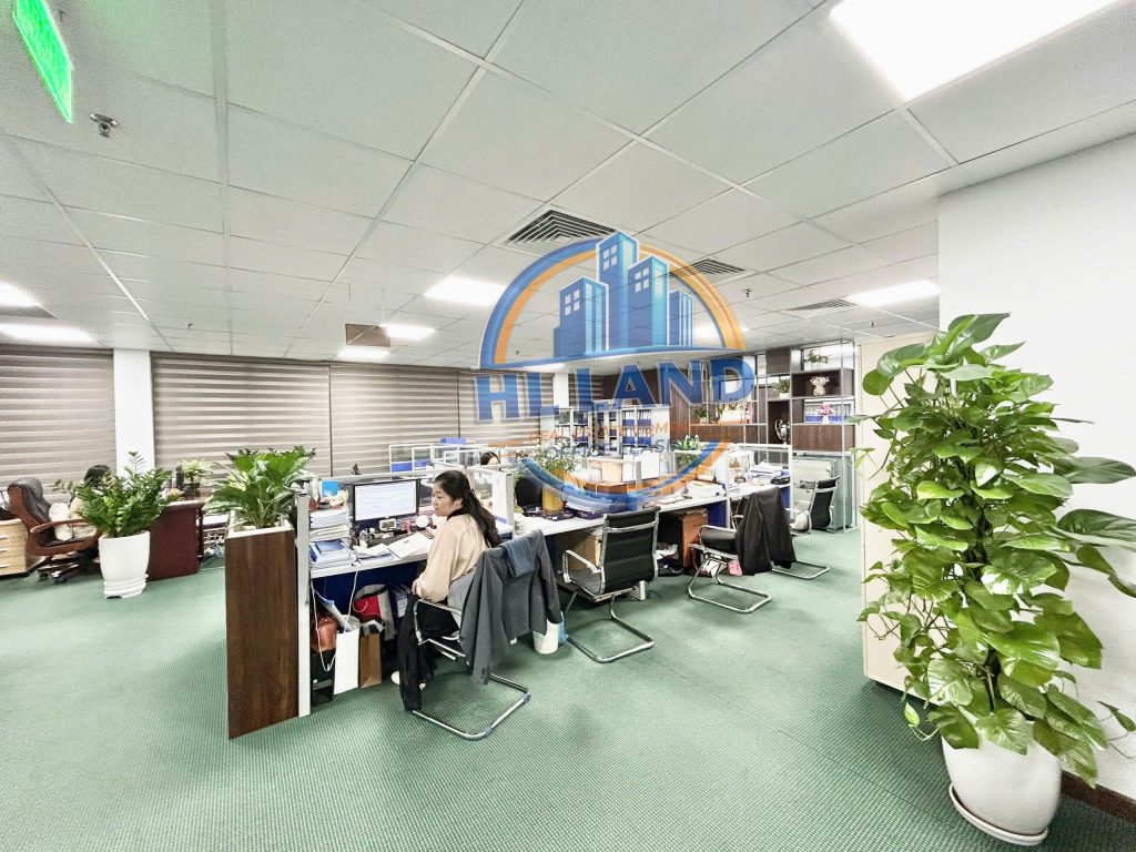 tìm văn phòng thuê dreamland bonanza duy tân