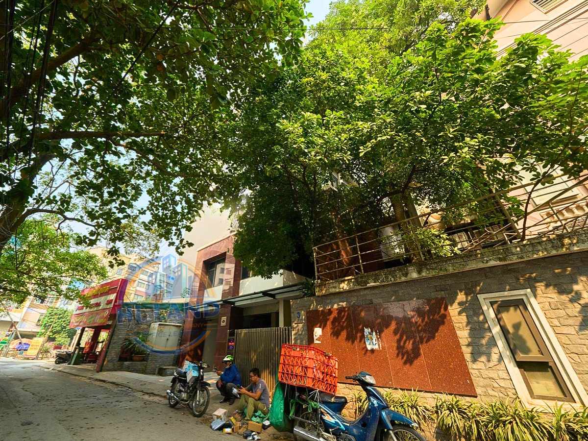 Quy mô xây dựng và diện tích cho thuê tòa B&T Building