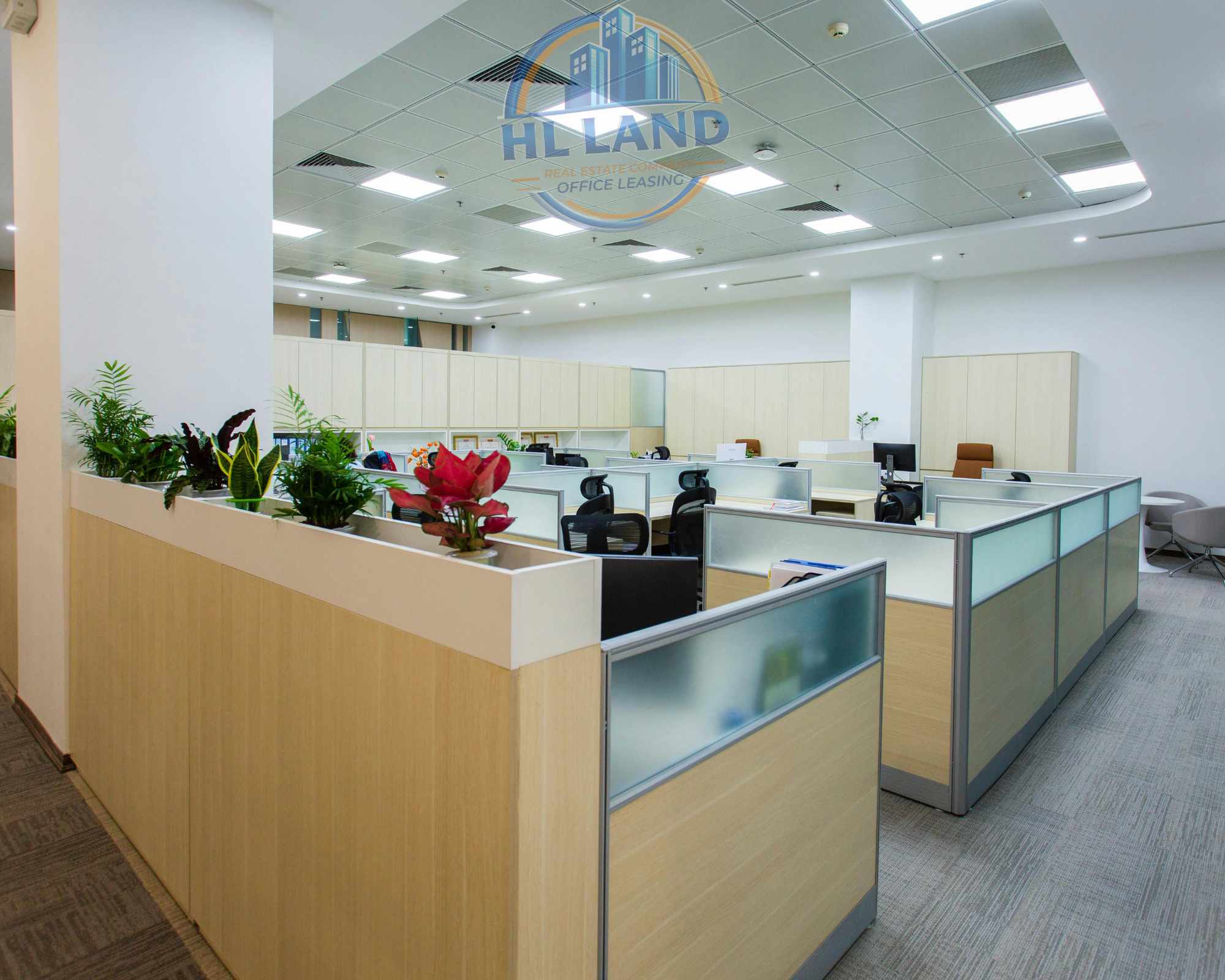 Không gian làm việc mở và linh hoạt