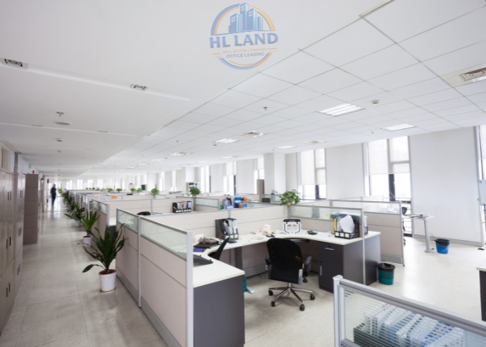 Doanh nghiệp 35–40 nhân sự nên chọn 200m2 hay 300m2?