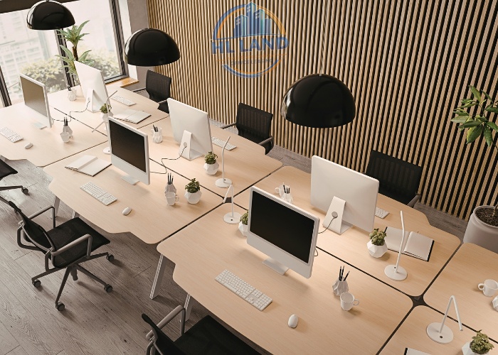 Startup và doanh nghiệp mới thành lập nên lựa chọn hình thức thuê nào?