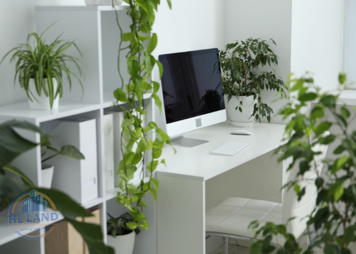 Văn phòng đạt chuẩn LEED mang lại lợi ích gì cho doanh nghiệp thuê văn phòng?