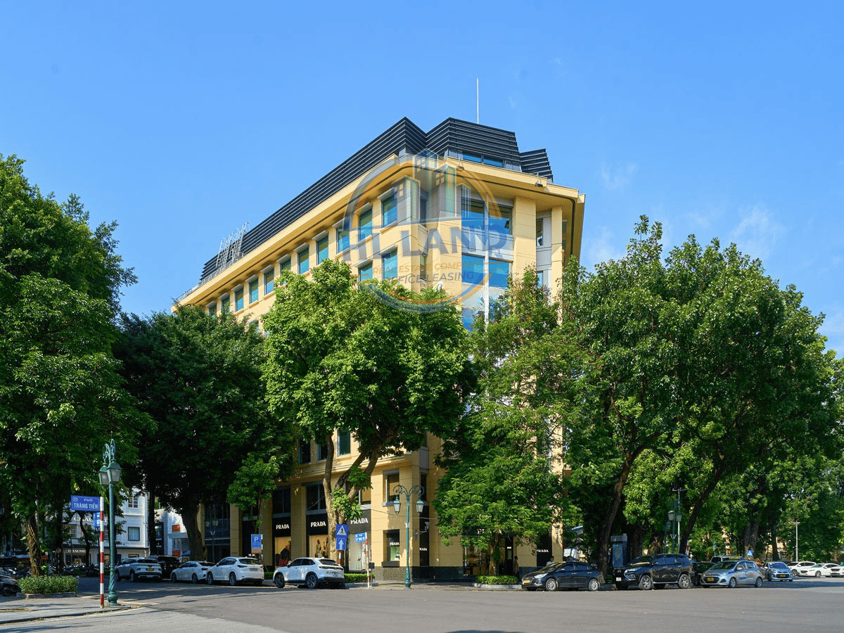Building Scale and Office Space for Lease at 63 Ly Thai To Building